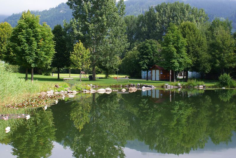 blick-auf-wiese[1]